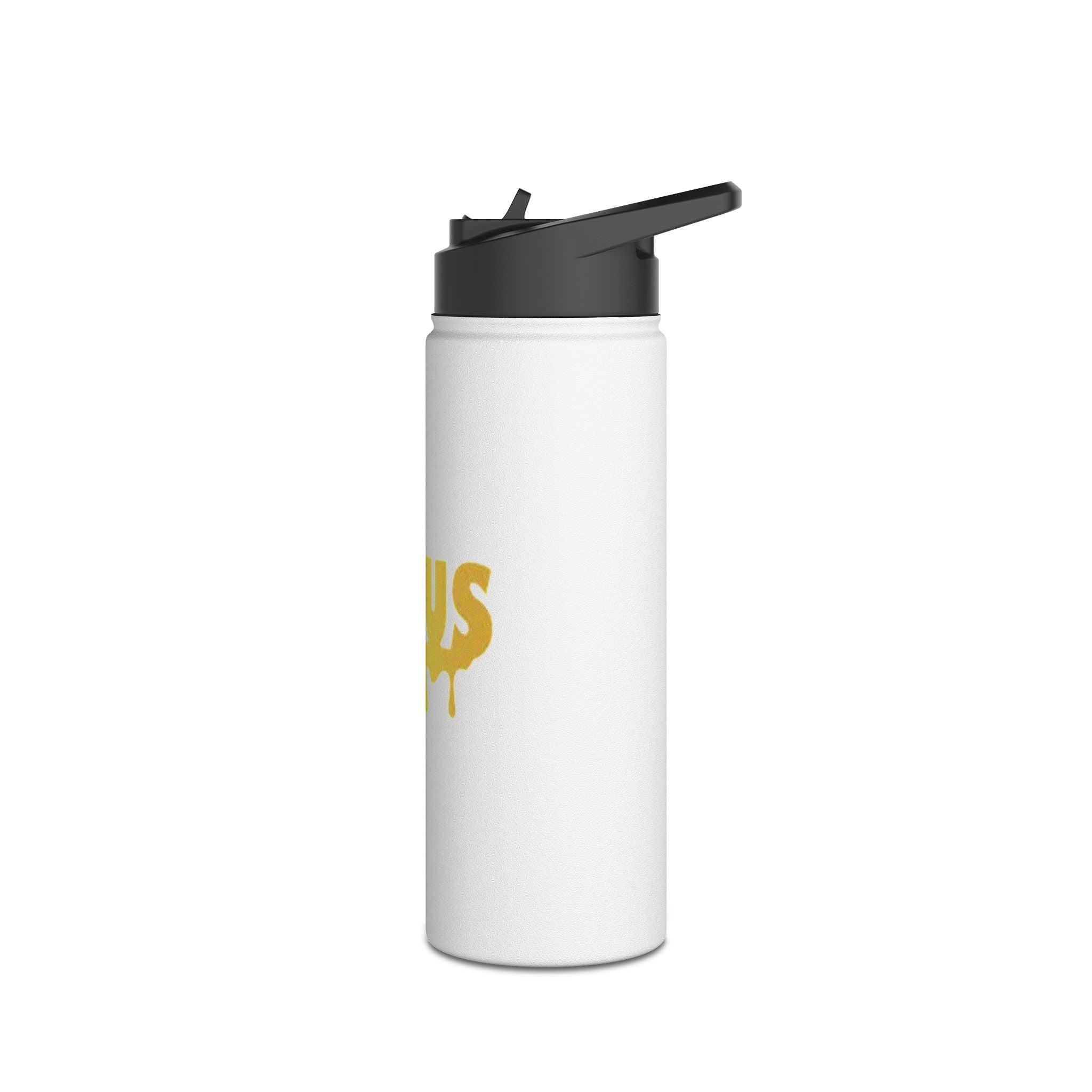 Stainless Steel Water Bottle, Jesus Edition